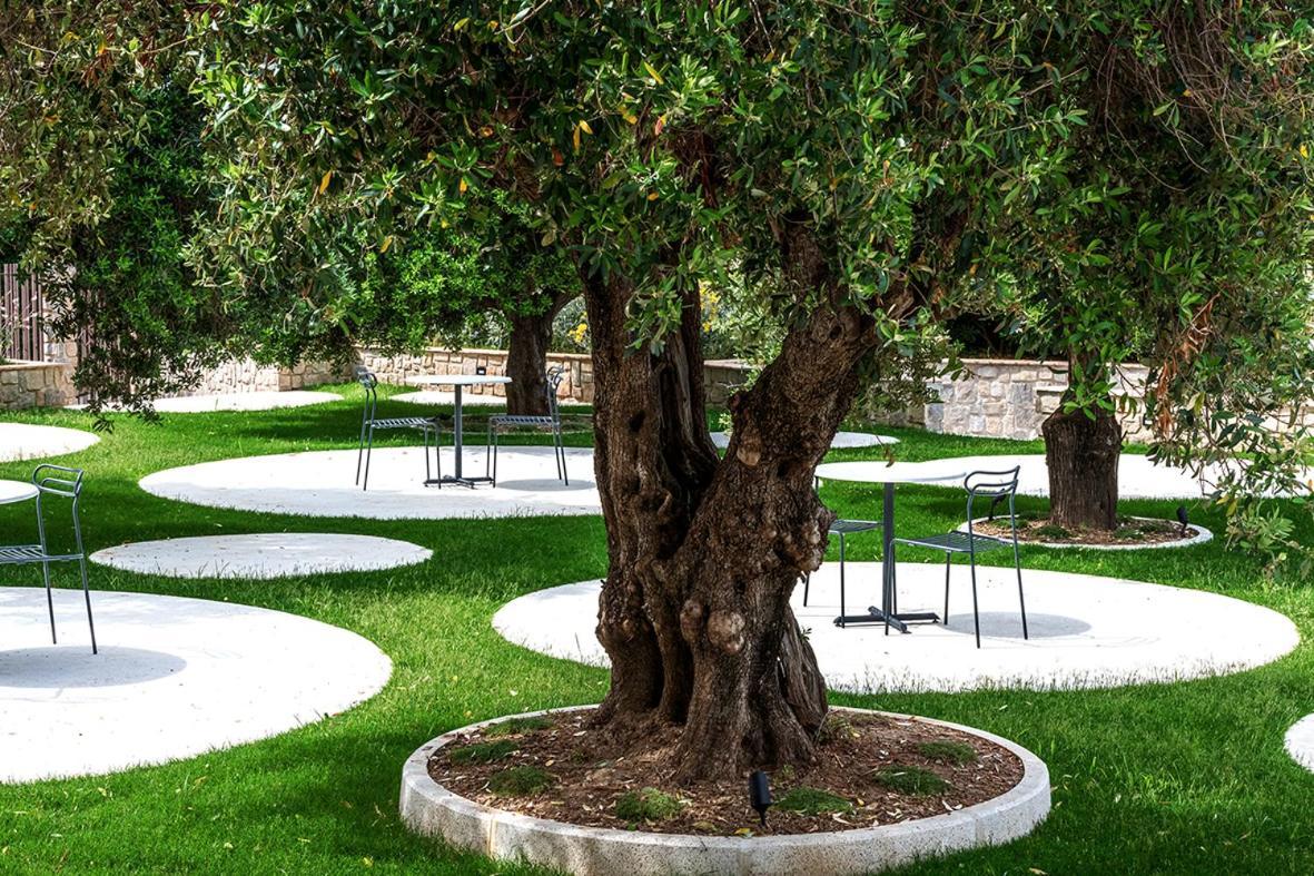 Oliveto A Mare - Suite & Apartment Ашеа Экстерьер фото