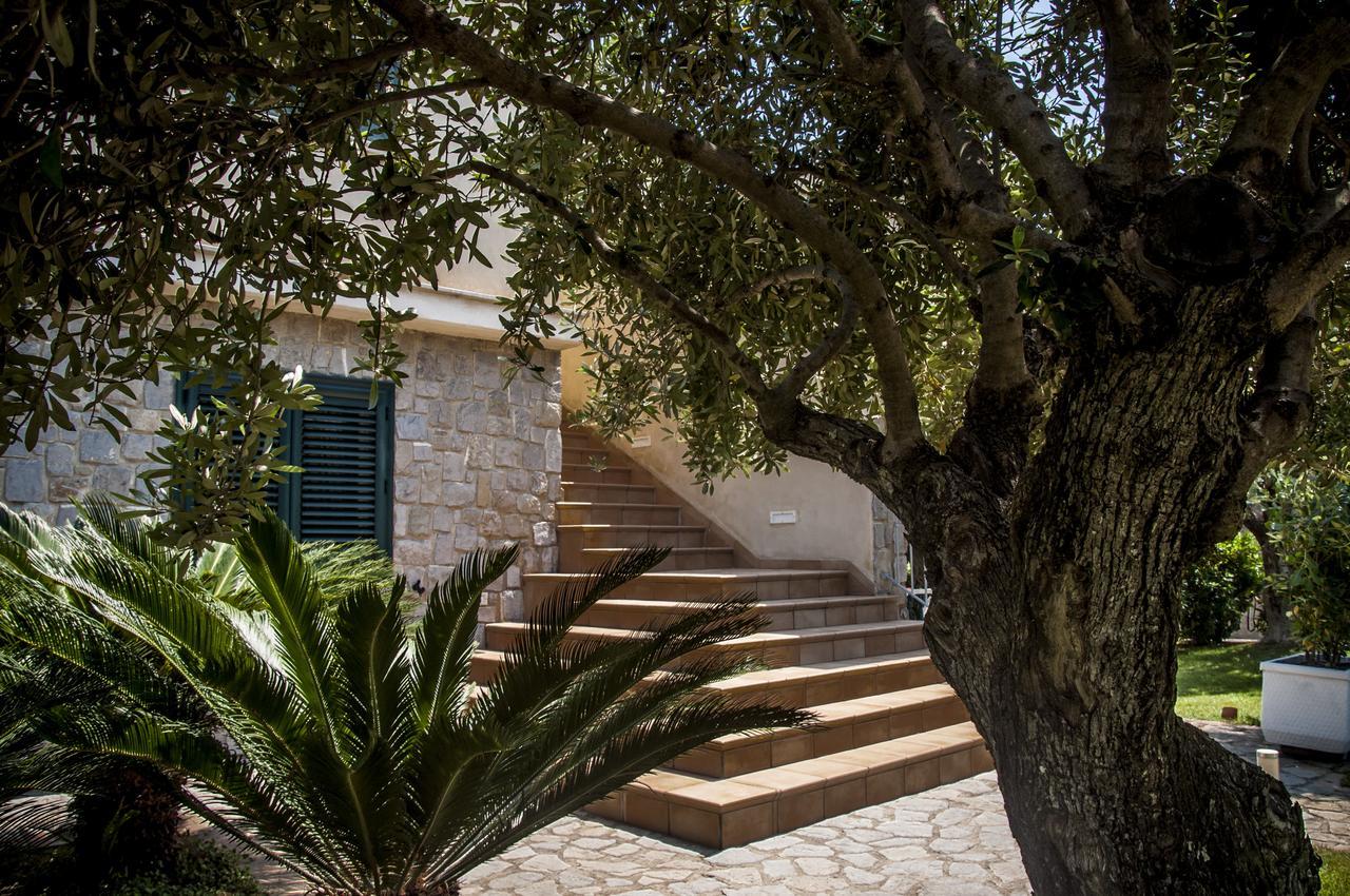 Oliveto A Mare - Suite & Apartment Ашеа Экстерьер фото