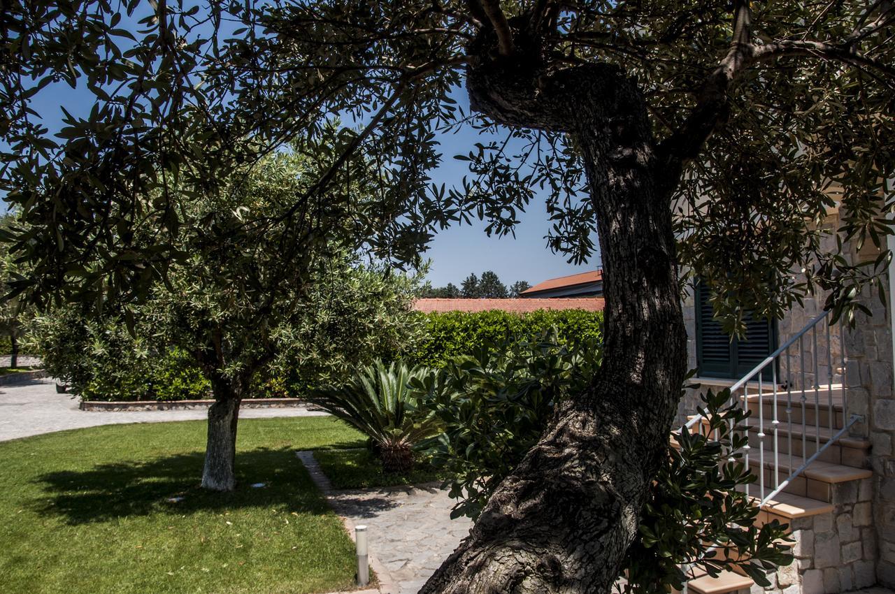 Oliveto A Mare - Suite & Apartment Ашеа Экстерьер фото